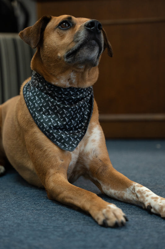 Whiskey Bottle Bandana