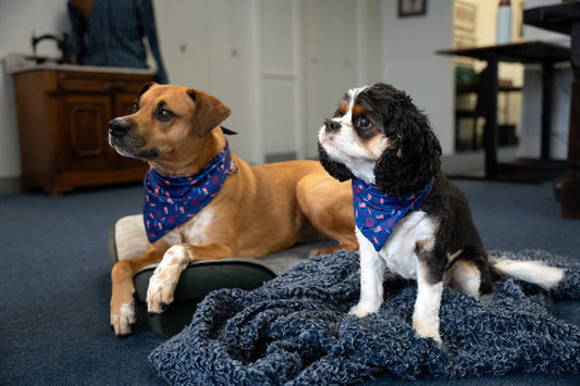 America Bandana