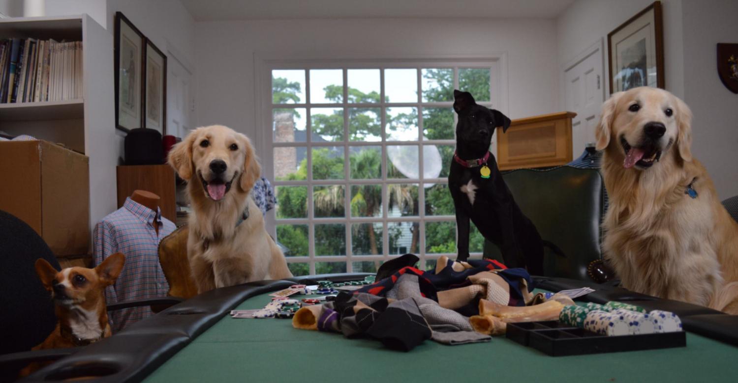 Dogs playing poker with bones