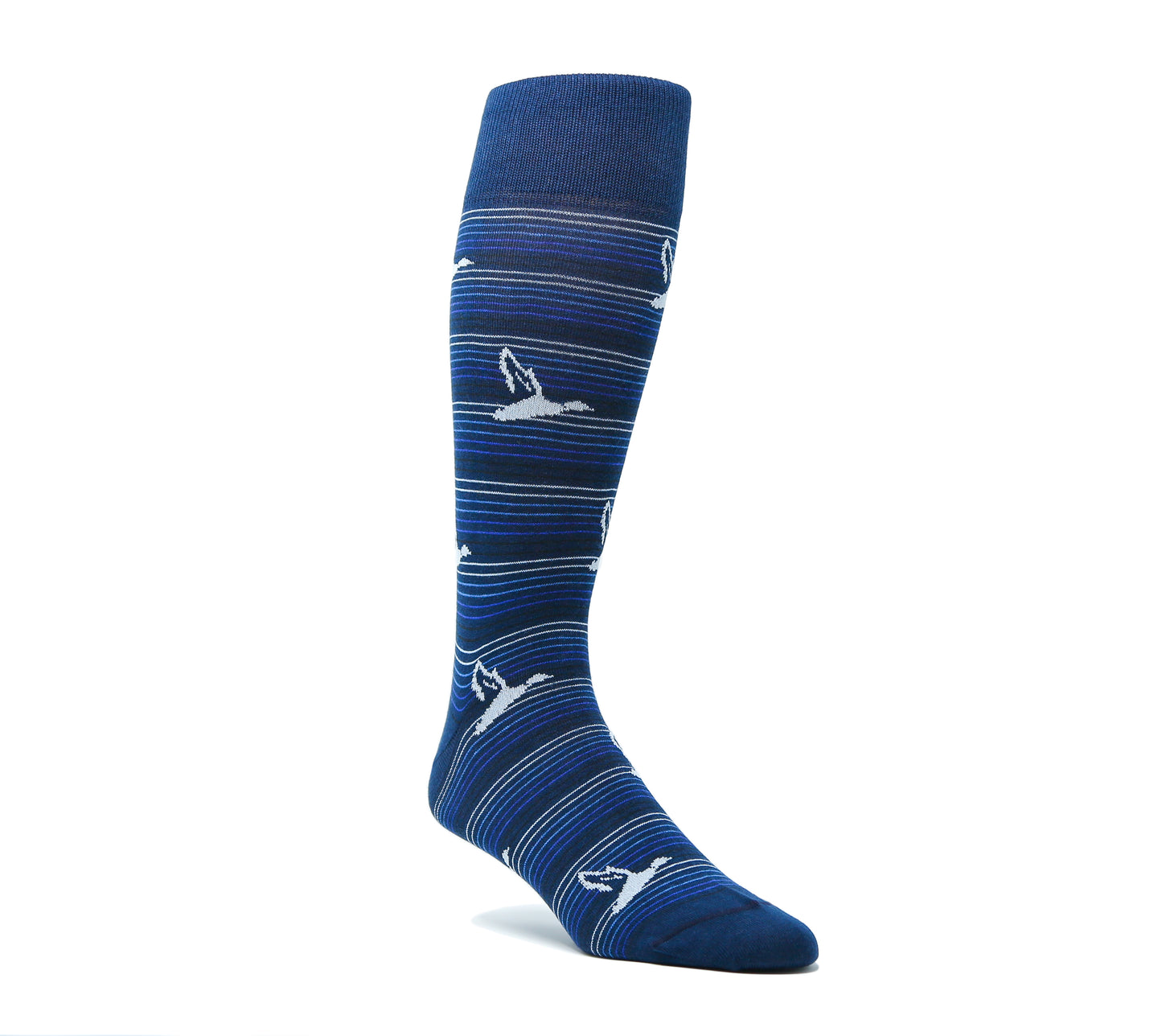 Striped Flying Ducks