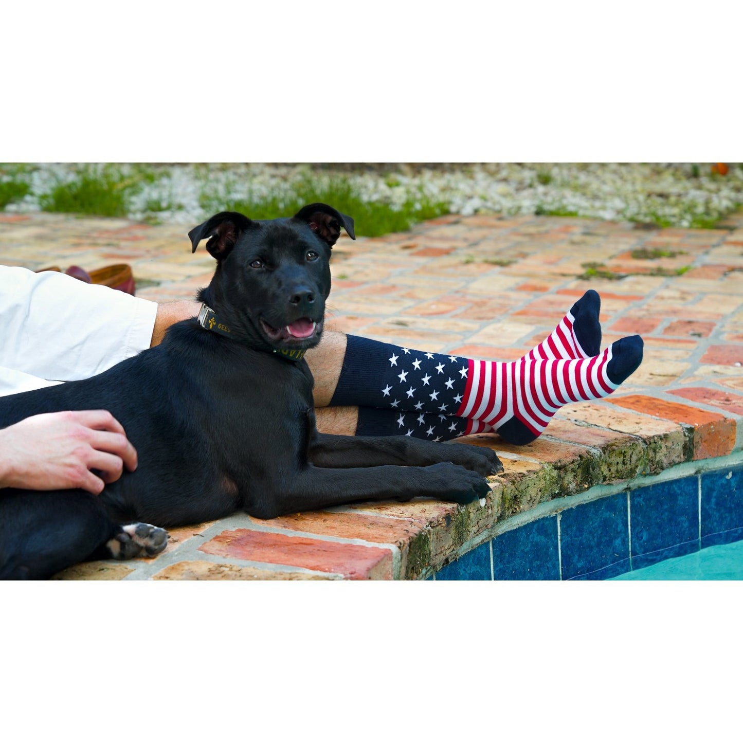 American Flag - ELL & Atty