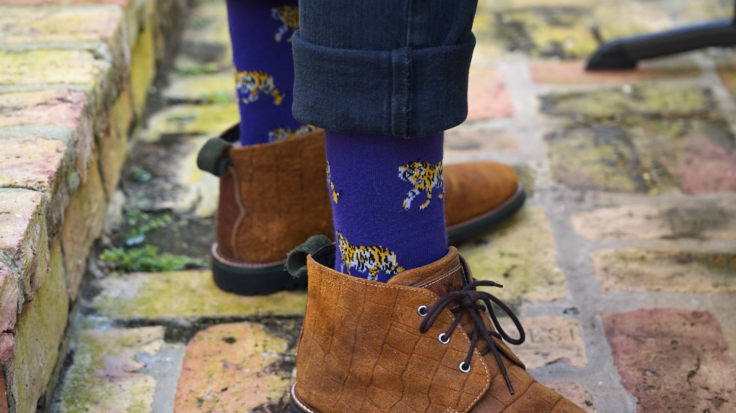 Tiger Den - ELL & Atty