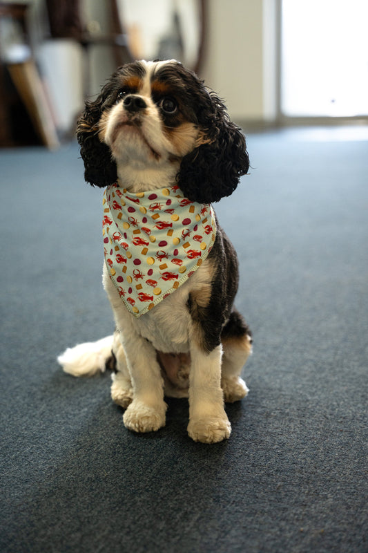 Seafood Boil Dog Bandana