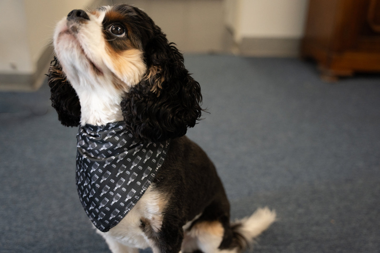 Whiskey Bottle Bandana