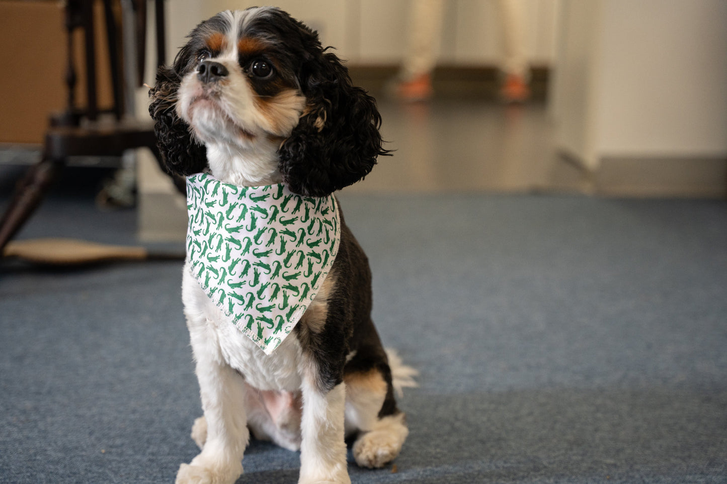 Alligator Dog Bandana