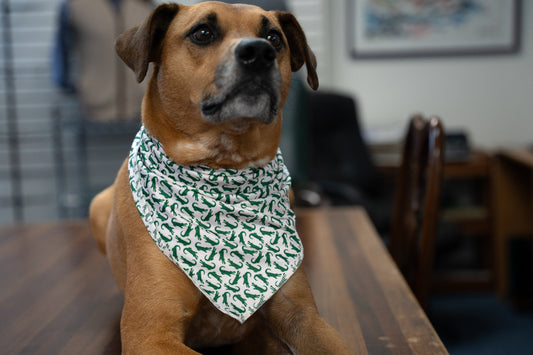 Alligator Dog Bandana